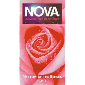 Nova: Mystery of the Senses Smell [VHS]