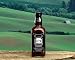 Historic Lychburg Tennessee Whiskey Barbecue Sauce POOF! – Hot & Spicy 100