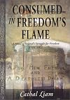 Consumed in Freedom's Flame: A Novel of Ireland's Struggle for Freedom 1916-1921