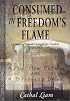 Consumed in Freedom's Flame: A Novel of Ireland's Struggle for Freedom 1916-1921