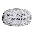 Weeds For Sale Stepping Stone