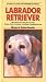 Image of Labrador Retriever