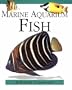 Marine Aquarium Fish (Pocket Companion)