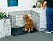 Pet Supplies : Midwest Life-Stages 42-by-28-by-31-Inch Folding Double-Door Metal Dog Crate