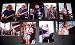 Grateful Dead (9) Stage Concert Color Photographs (Music Memorabilia)