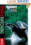 Whale Watching (Discovery Travel Adventures)