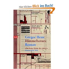 Himmelssturz: Roman