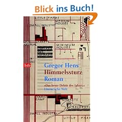 Himmelssturz: Roman