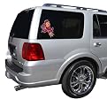 Arizona State Sun Devils Team Window Decal