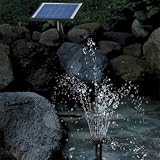 Small AC/Battery/Solar Fountain Pump