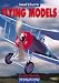 Small Electric Flying Models (Modeller's World)