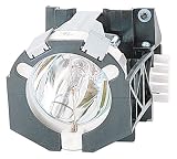 Electronics : InFocus - Projector lamp