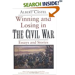 Winning and Losing in the Civil War: Essays and Stories