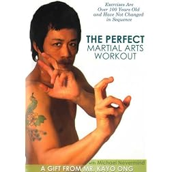 Perfect Martial Arts Workout with Michael Nevermind