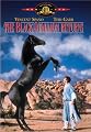 The Black Stallion Returns
