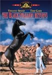 The Black Stallion Returns