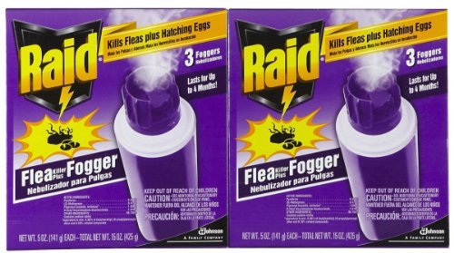 Raid