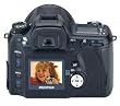 Pentax *istD 6.1MP Digital SLR Camera (Body Only)