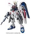 Gunseed Hg Freedom Gundam 1/144 Gg