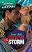 Books : Sins Of The Storm (Silhouette Intimate Moments)
