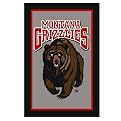University of Montana Rug - Gray/ Black (Rectangle)
