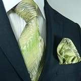 Landisun 52K Novelty Pattern Mens Silk Tie Set: Tie+Hanky &Plastic Hook