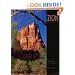 Zion National Park: Sanctuary in the Desert (A 10x13 Book©) (Sierra Press)