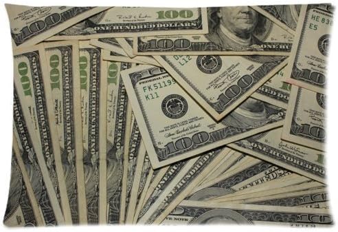 Buythecase Unique Fashion single-sided printing 2 way cloth 20 X 30 inch pillowcase US Dollar Currency Money Pillowcase, Hundreds of 100 Dollar Bills New pillow cases