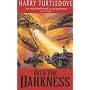Into the Darkness (Darkness 1)