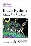 Black Python - Morelia boeleni
