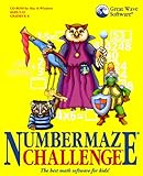 Numbermaze Challenge Ages 5-12