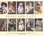 Postcard Cats