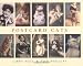 Postcard Cats
