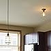 Design House 519652 Ajax Industrial Modern 1-Light Indoor Mini Pendant with Metal Wire Cage for Kitchen island barDining Room, Textured Coffee Brown