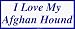 I Love My Afghan Hound Large Bumper Sticker