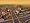 SimCity Societies (PC DVD)