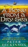 A Bone From A Dry Sea by Dickinson, Peter (2013) Paperback