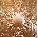 Watch the Throne