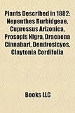 Plants Described in 1882: Nepenthes Burbidgeae, Cupressus Arizonica, Prosopis Nigra, Dracaena Cinnabari, Dendrosicyos, Claytonia Cordifolia-
