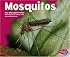 Mosquitoes (Bugs Bugs Bugs)
