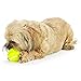 Outward Hound by Planet Dog Sport Ballz Tennis Ball Treat-Dispensing Fetch Ball Dog Toy