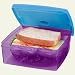 Fit & Fresh Kids Lunch Pod - Green (Color/Styles May Vary)