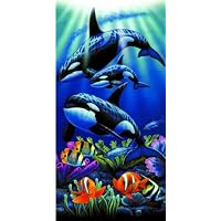 Orca Whales Terry Velour Beach/Bath Towel