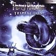Triptychon (33)