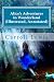 Alice's Adventures in Wonderland (Illustrated, Annotated)