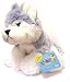 Webkinz Husky Image