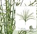 SIX 20" FLower & Grass Artificial Silk Plants _Purple