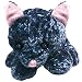 Kitchen & Housewares : Pet Supply Imports - Soft Plush Toy Wrinkly Cat Dog Toy 8"