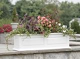 DMC Products Savannah 24-Inch Solid Wood Window Box, Natural