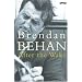After the Wake (Classic Irish Fiction)